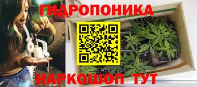2c-b Лесосибирск