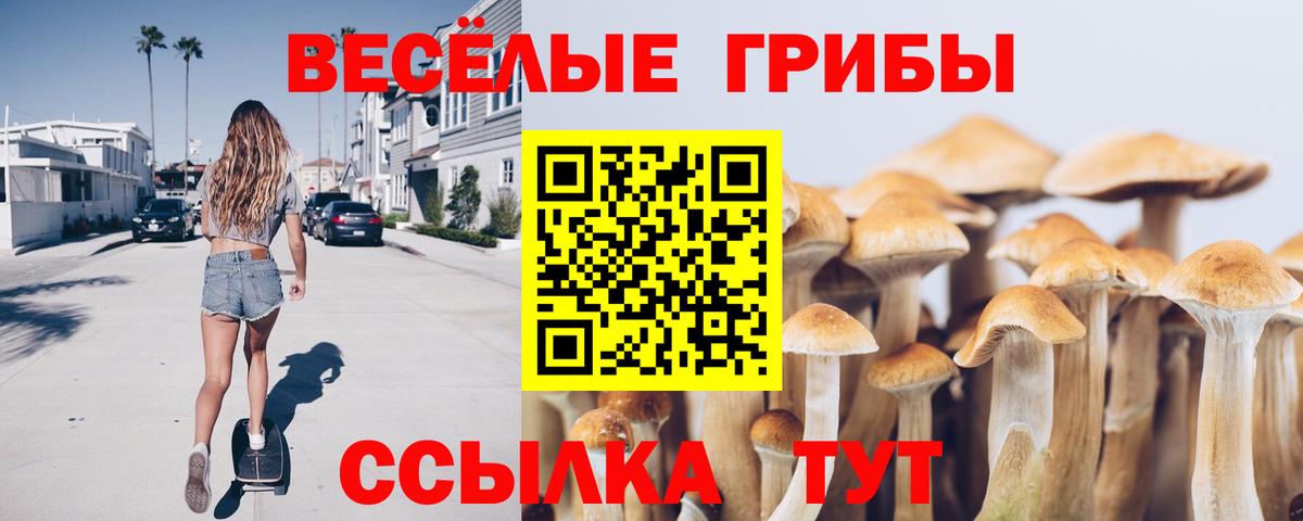 Галлюциногенные грибы Cubensis Югорск