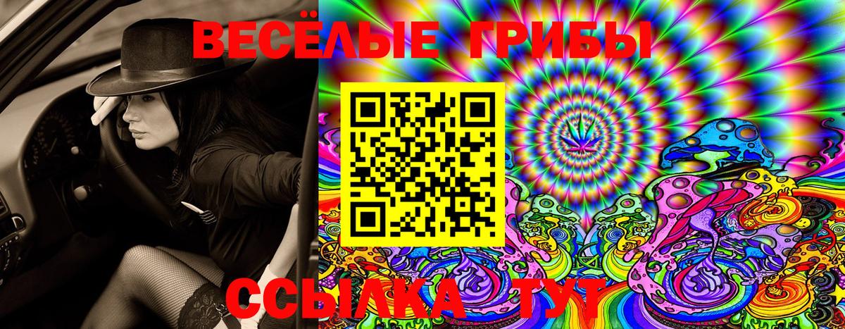 Псилоцибиновые грибы Cubensis  Псилоцибиновые грибы прущие грибы  Вход с VPN  Югорск 